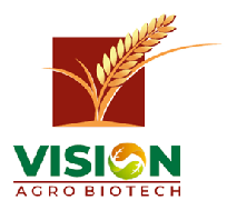 Vision Agro Logo